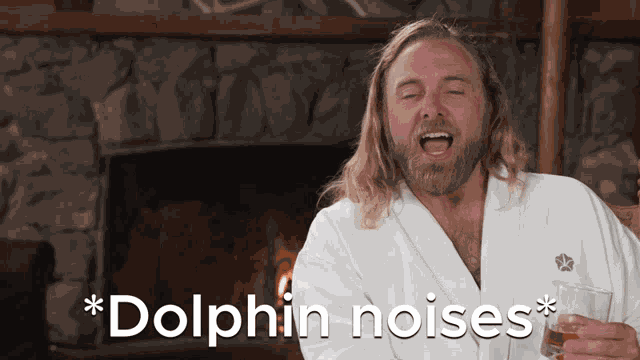 Dolphin Noises Dolphin GIF
