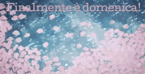 Domenica Buona Domenica Felice Domenica Passa Una Buona Domenica Finalmente è Domenica GIF