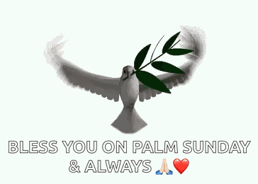 Domenica Domenicadellepalme GIF
