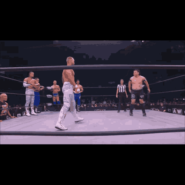 Dominic Garrini Dom Garrini GIF