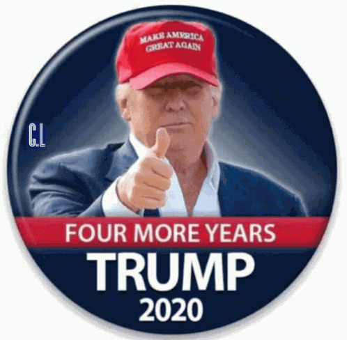 Donald Trump 2020 GIF