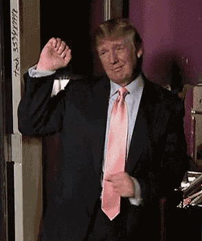 Donald Trump Dance GIF