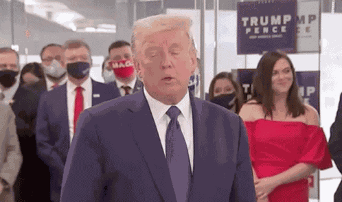 Donald Trump Donald GIF