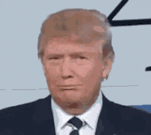 Donald Trump Huh GIF