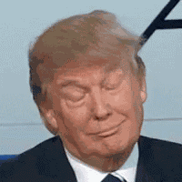 Donald Trump GIF