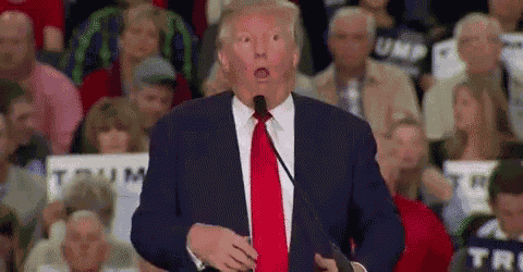 Donald Trump Mock GIF
