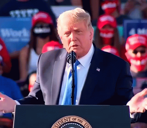 Donald Trump Potus GIF