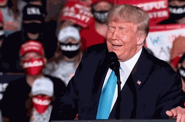 Donald Trump President GIF
