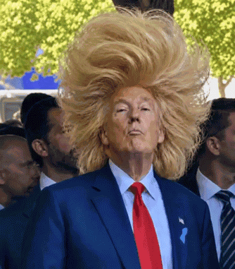 Donald Trump Thumbs Up GIF