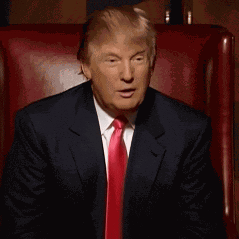 Donald Trump Trump 2024 GIF