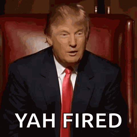 Donald Trump Trump 2024 GIF
