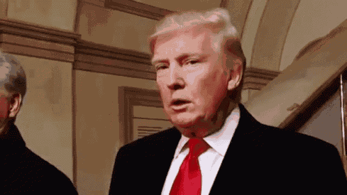 Donald Trump Trump GIF