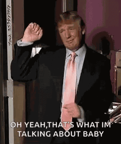 Donald Trump Trump GIF