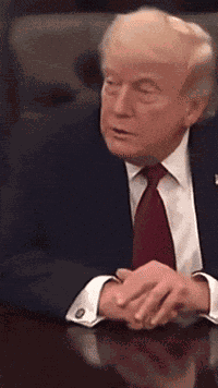 Donald Trump Trump Supporters GIF