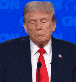 Donald Trump Trump GIF