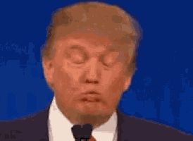 Donald Trump GIF