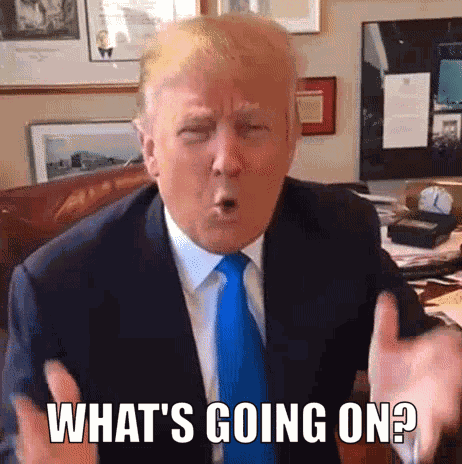 Donald Trump Whats Going On GIF