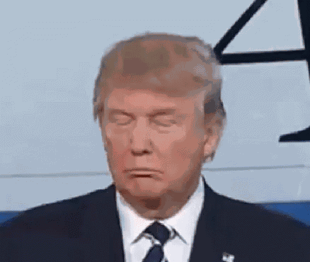 Donald Trump Yes GIF