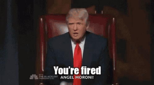 Donald Trump Youre Fired GIF