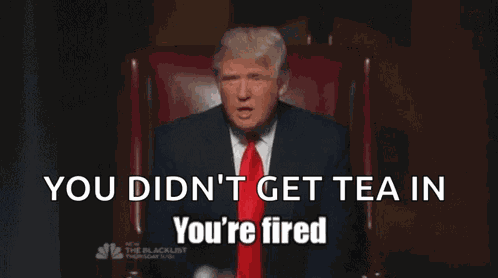 Donald Trump Youre Fired GIF