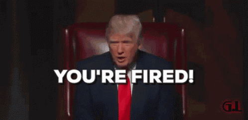 Donald Trump Youre Fired GIF