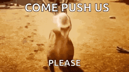 Donkey Smile GIF