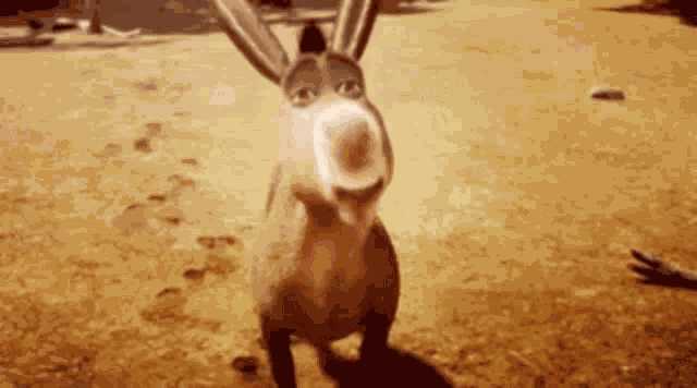 Donkey Yes GIF