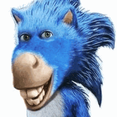 Donksonic Meme