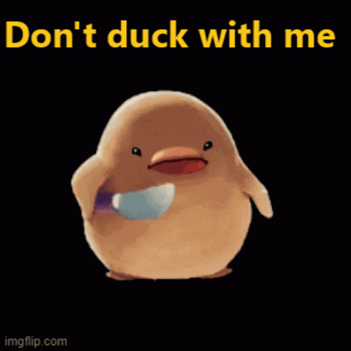 Dont Duck With Me Duck GIF