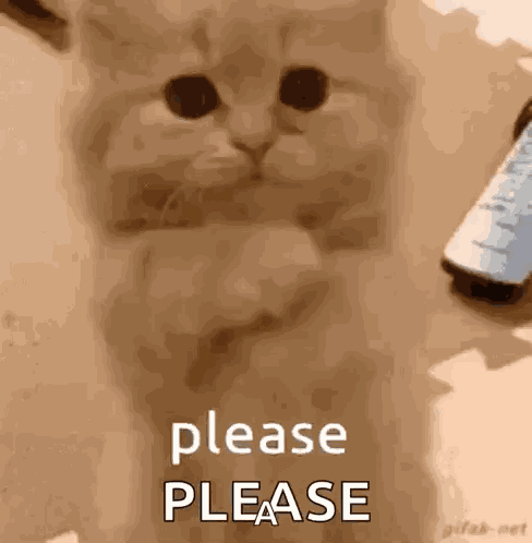 Don’t Make Me Beg GIF