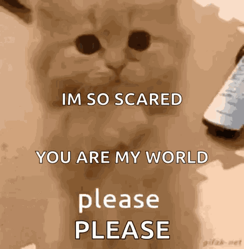Don’t Make Me Beg GIF