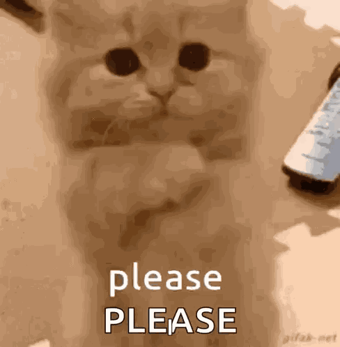 Don’t Make Me Beg GIF