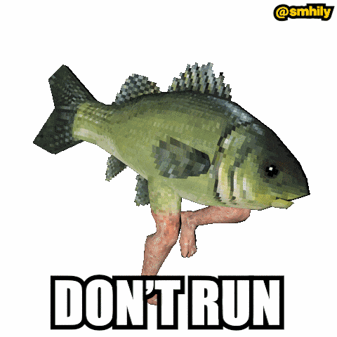 Dont Run Stop GIF