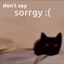 Dont Say GIF