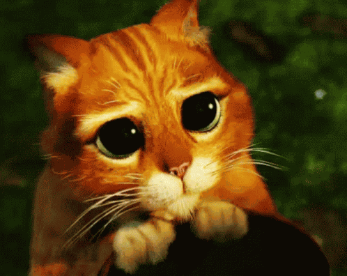 Dont You GIF