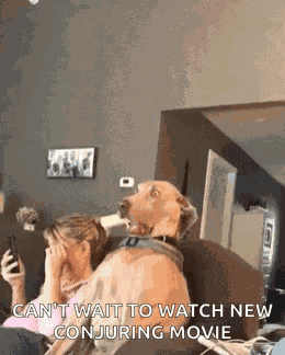 Dontlooknow It Wasnt Me GIF