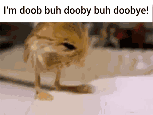 Dooby3d Roingus GIF