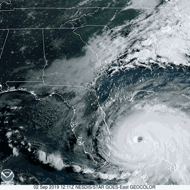 Dorian Happy Labor Day GIF