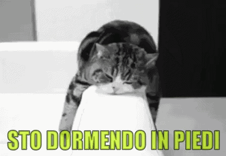 Dormendo In Piedi Dormire In Piedi Dormo In Piedi Stanco Stanca Stanchezza Esausto Esausta GIF