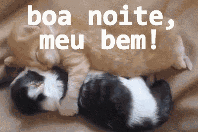 Dormircontigo Gifromantico Meuamor Boanoite Casal GIF
