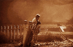 Dorothy GIF