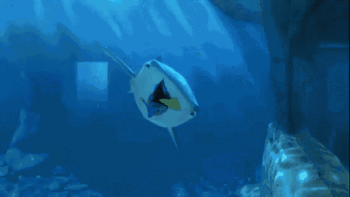 Dory + Bailey GIF