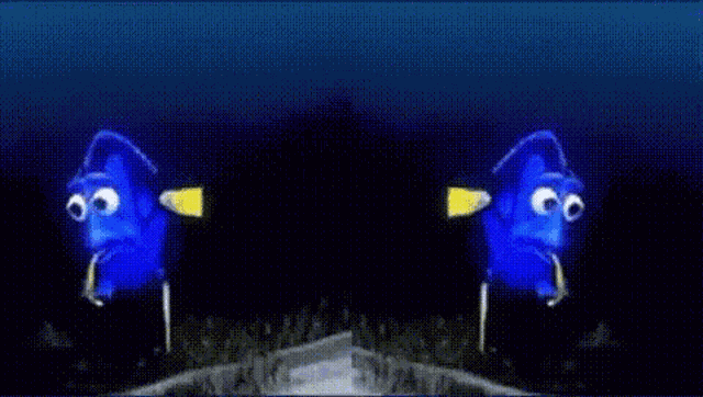 Dory Confuseddory GIF