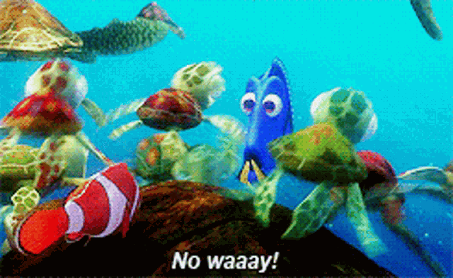 Dory Nowait GIF
