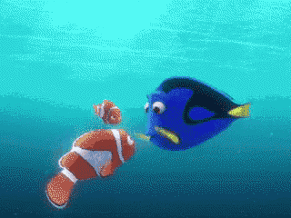 Dory Omg GIF