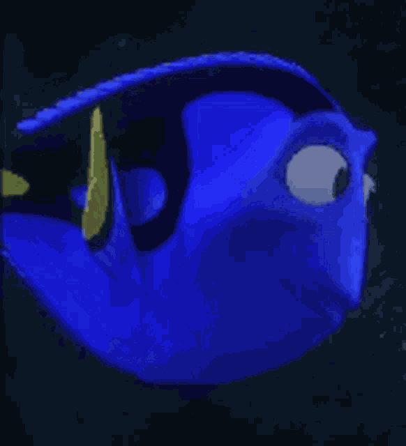 Dory Pixar GIF