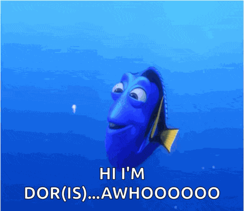 Dory Squishy GIF