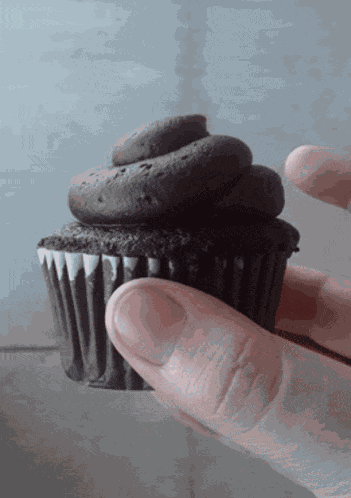 Double Chocolate Cupcake Cupcakes GIF