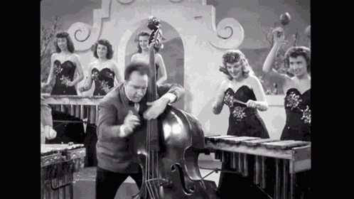 Double Jazz Bass Vintage GIF