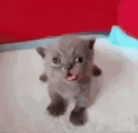 Double Tap To Throw Tomato GIF